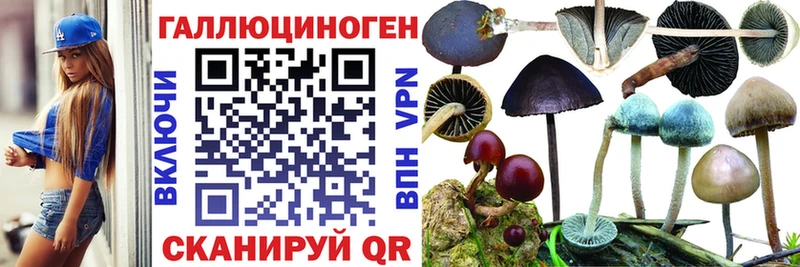 Псилоцибиновые грибы Cubensis  KRAKEN онион  Волгореченск 